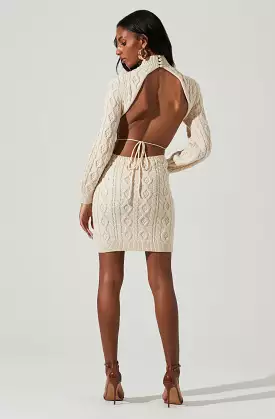 Abby Cable Knit Sweater Mini Dress