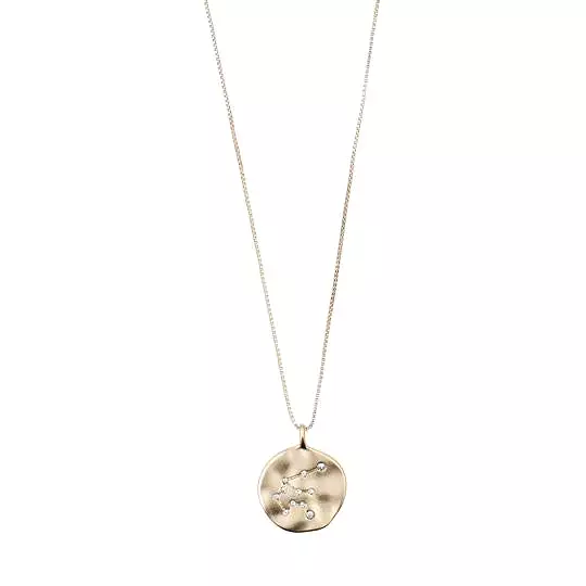 Aquarius Zodiac Sign Coin Necklace (Gold Plated)