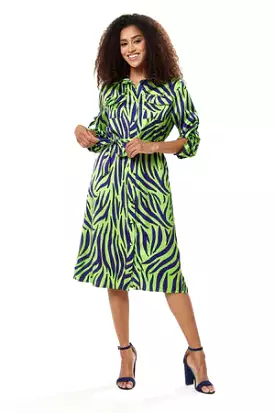 Liquorish Mint And Blue Zebra Print Midi Shirt Dress