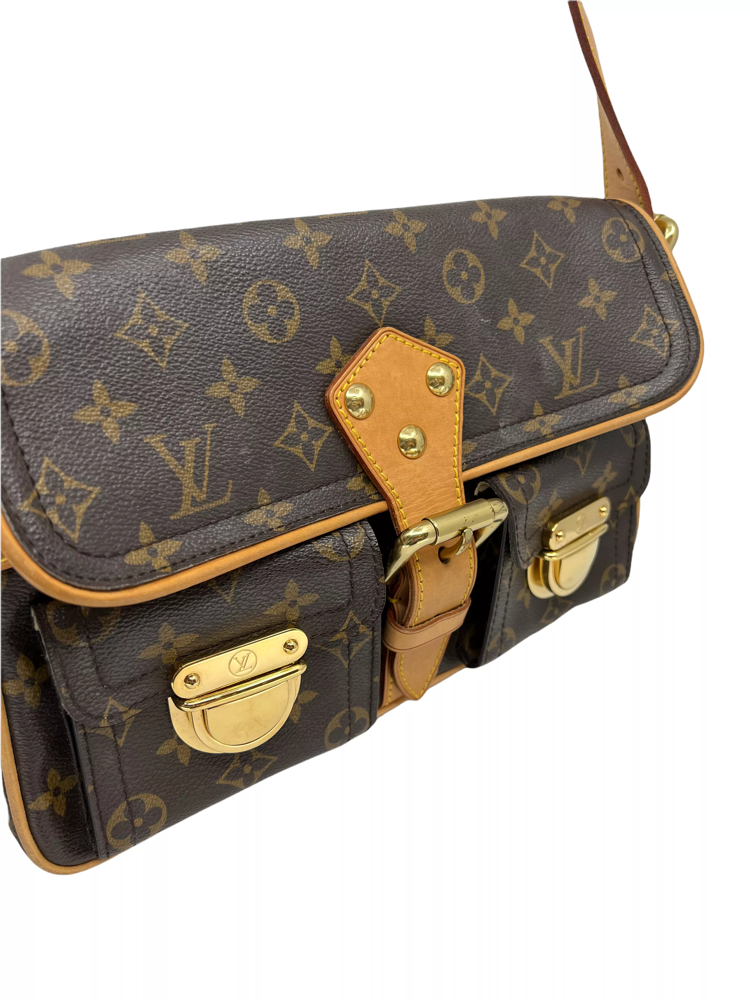 Louis Vuitton Monogram Hudson PM Bag