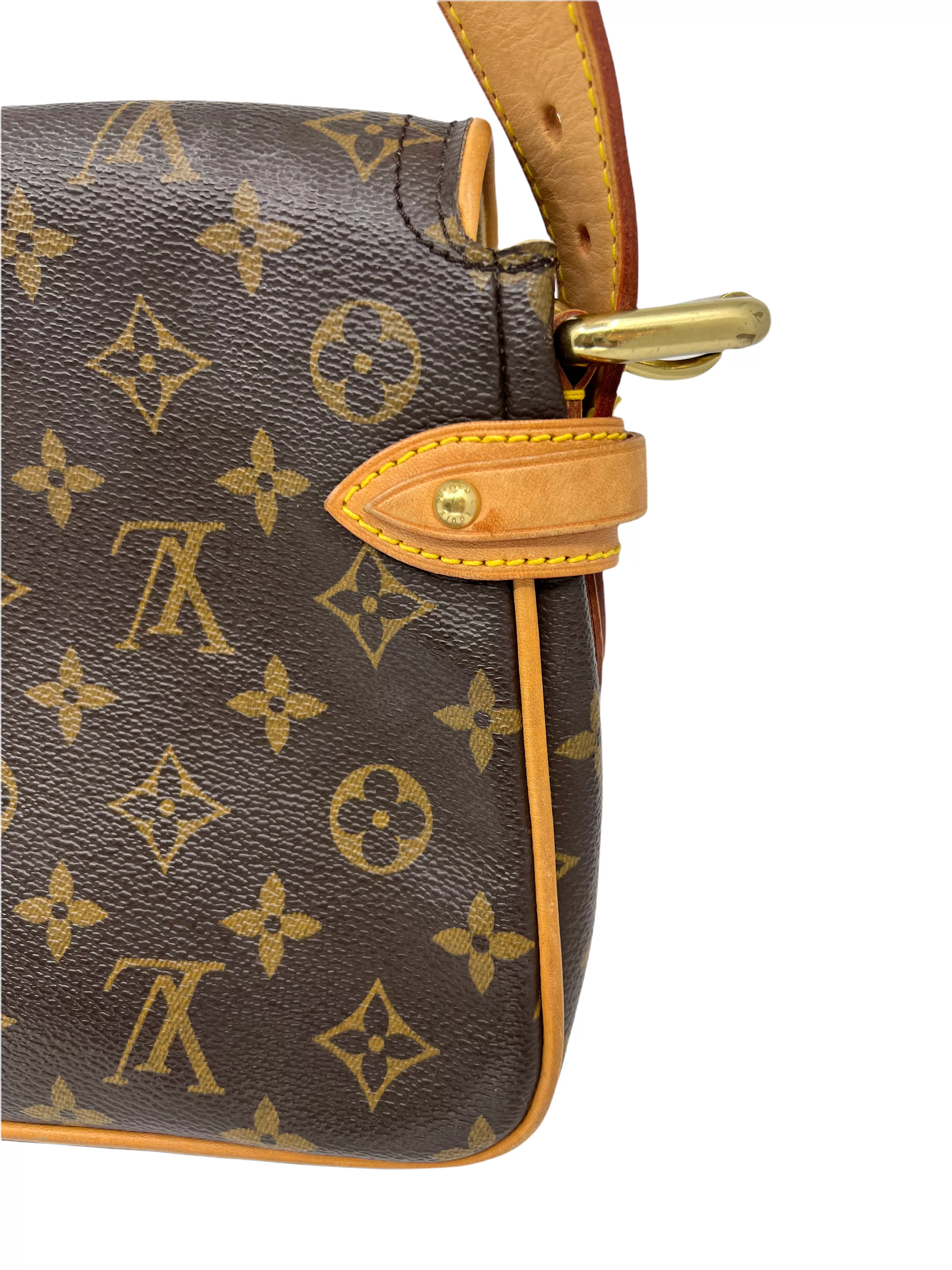 Louis Vuitton Monogram Hudson PM Bag