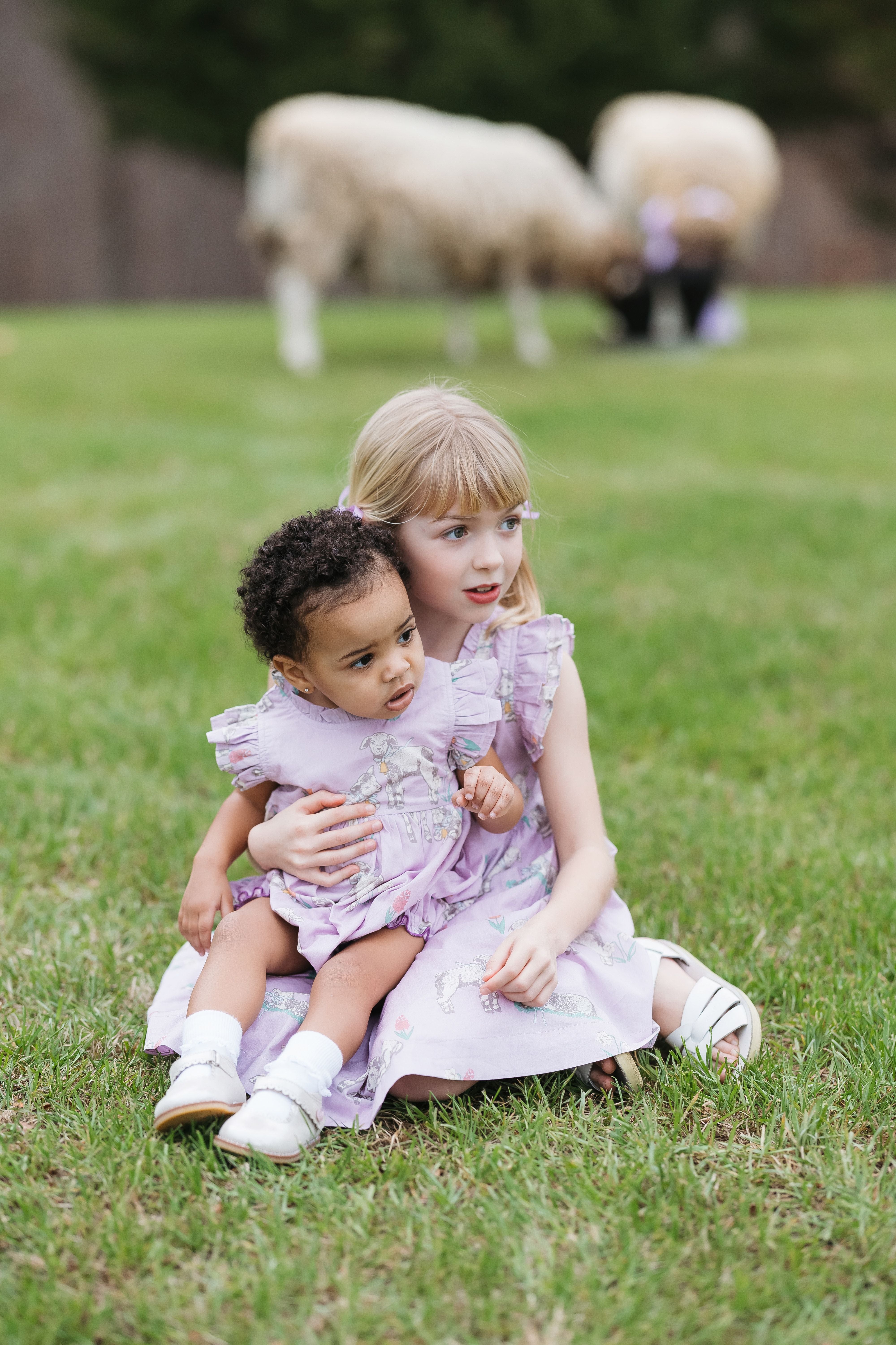 Pink Chicken - Leila Dress - Lavender Lambs