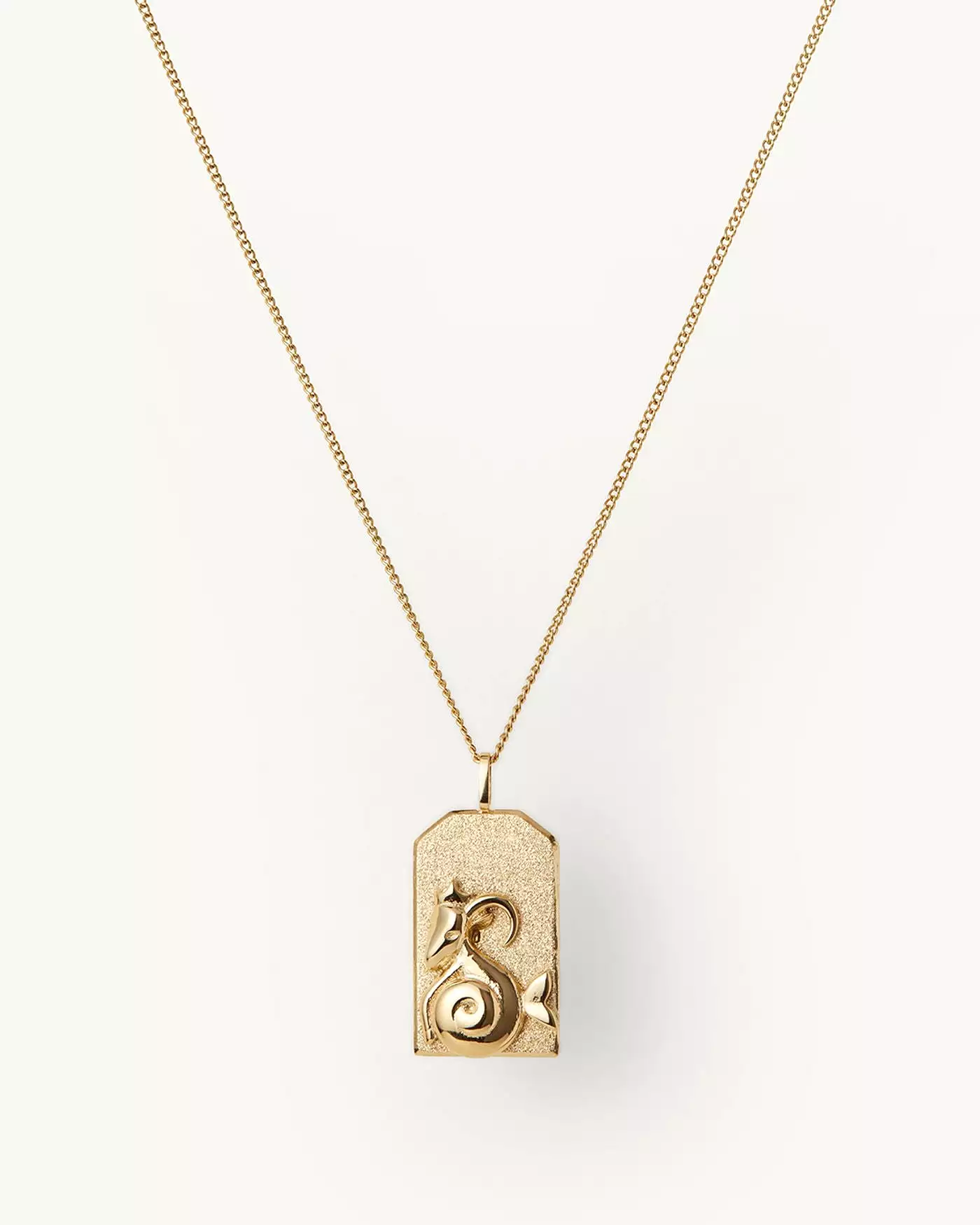 ZODIAC PENDANT NECKLACE - JENNY BIRD